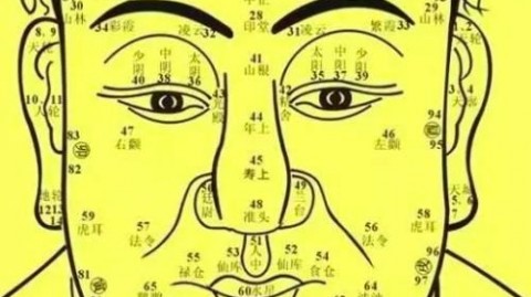 AI智能面相分析代理这门生意，我劝你先看完这篇再决定掏不掏钱